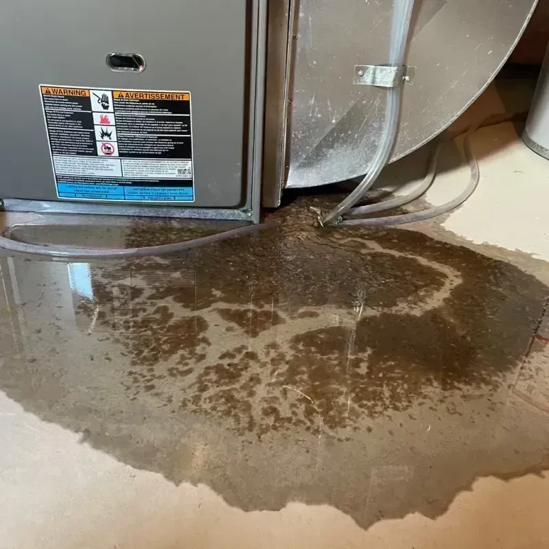 Appliance Leak Cleanup in Mercer County, WV